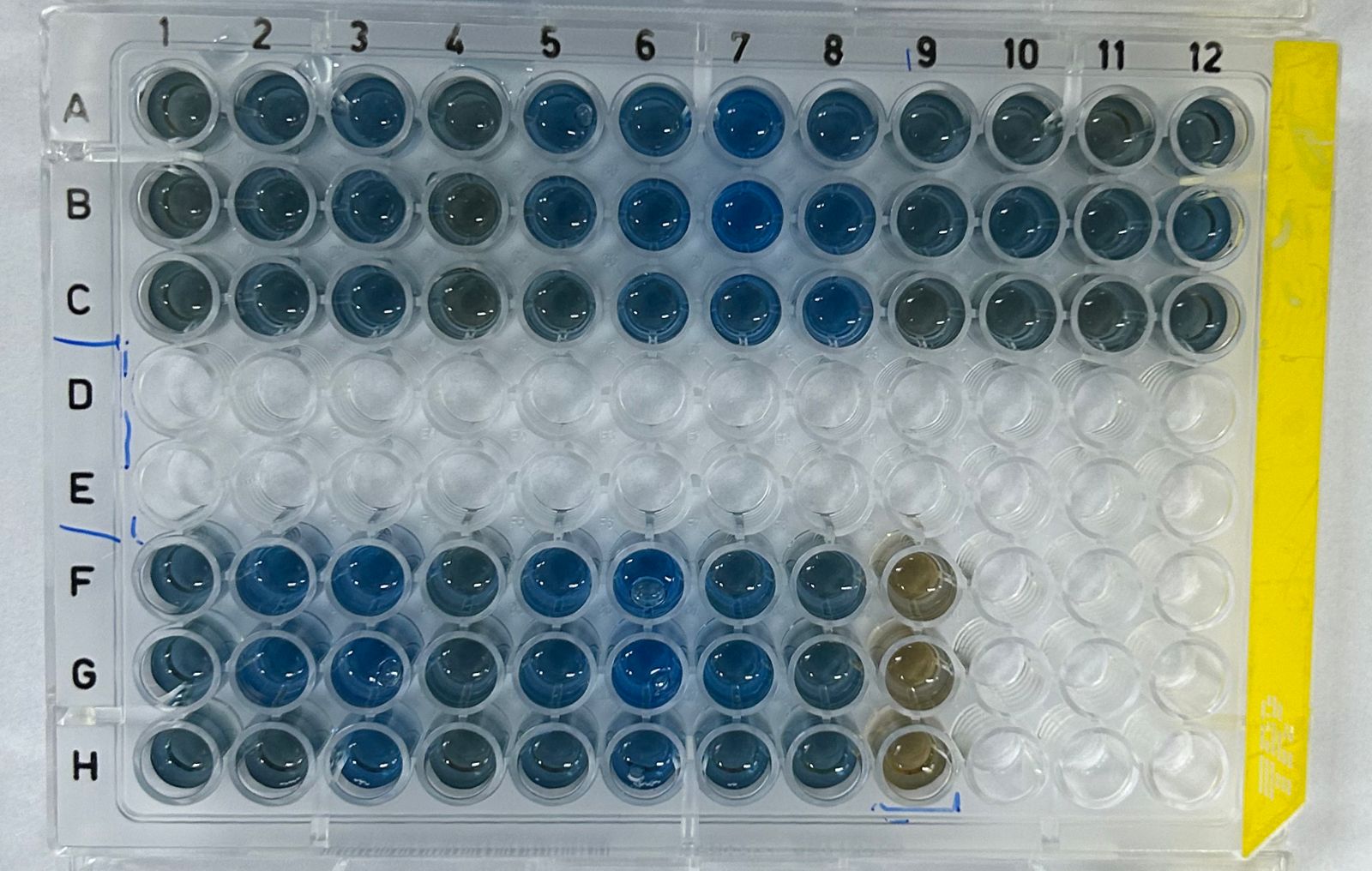 experimento para pesquisa